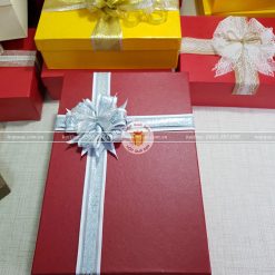 Hộp quà tặng đẹp HQ07 - Kích thước 30x20x10