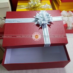 Hộp quà tặng đẹp HQ07 - Kích thước 30x20x10