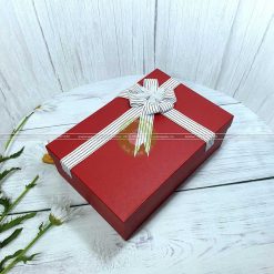 Hộp đựng quà sinh nhật loại to HQ08 - KT 30x20x10