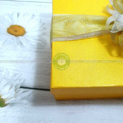 Hộp quà tặng đẹp HQ05 - Kích thước 23x17x7