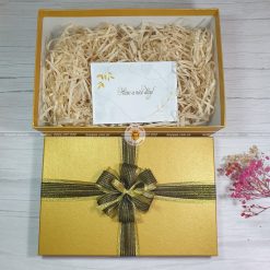 Hộp đựng quà tặng cỡ lớn HQ11 - KT 30x20x10