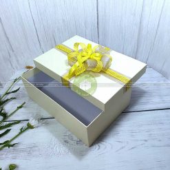 Hộp đựng quà tặng HQ14 - Kích thước 30x20x10