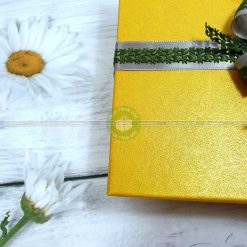 Hộp quà sinh nhật HQ12 – Kích thước 23x17x7