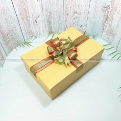 Hộp đựng quà tặng cỡ lớn 30x20x10cm - HQ27