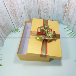 Hộp đựng quà tặng cỡ lớn 30x20x10cm - HQ27