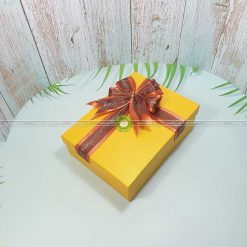 Hộp quà tặng sinh nhật 23x17x7cm - HQ28