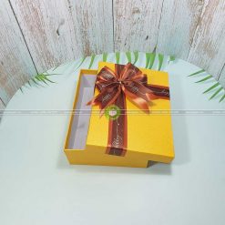Hộp quà tặng sinh nhật 23x17x7cm - HQ28