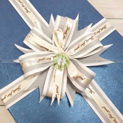 Hộp quà tặng sang trọng 30x20x10cm - HQ31