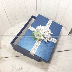 Hộp quà tặng sang trọng 30x20x10cm - HQ31