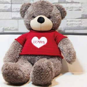 Tặng nàng một chú gấu bông dễ thương