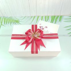 Hộp đựng quà sinh nhật size lớn HQ47 – KT 30x20x10