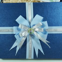 Hộp đựng quà sinh nhật HQ42 - 23x17x7cm