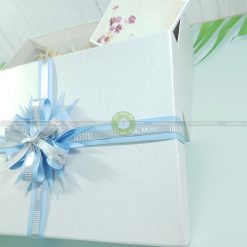 Hộp đựng quà to HQ46 – KT 30x20x10