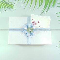Hộp đựng quà to HQ46 – KT 30x20x10
