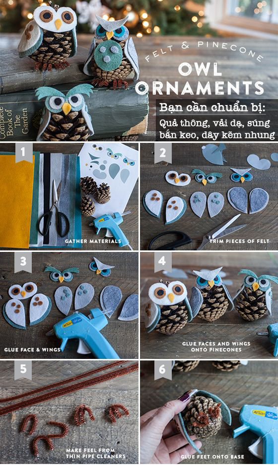 Chim cú đáng yêu từ quả thông Chim cú đáng yêu từ quả thông