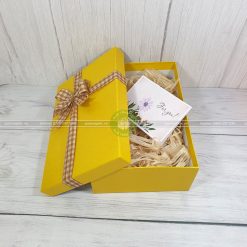 Hộp quà tặng đặc biệt HQ41- site 30x20x10 cm