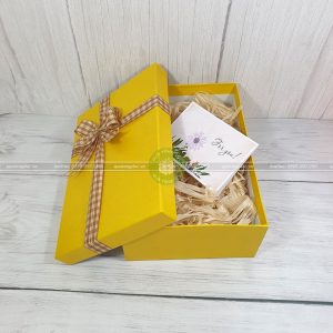 Hộp quà tặng đặc biệt HQ41- site 30x20x10 cm