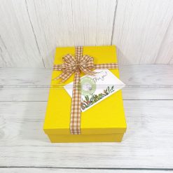Hộp quà tặng đặc biệt HQ41- site 30x20x10 cm