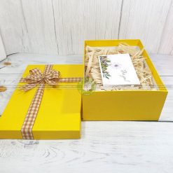 Hộp quà tặng đặc biệt HQ41- site 30x20x10 cm
