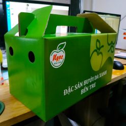 Hộp carton sóng – bưởi da xanh