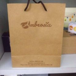 Túi kraft nâu sản phẩm Ambrosia đựng thực phẩm tươi sống