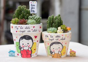 Tặng chậu cây cảnh mini cho mẹ