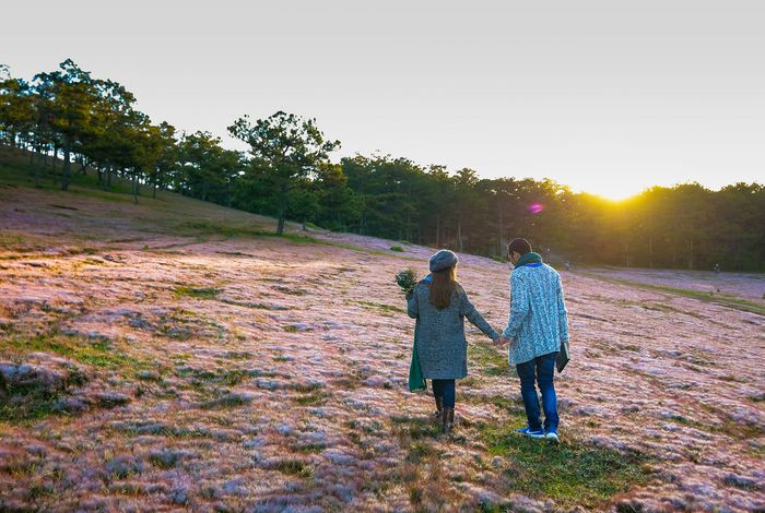 Một chuyến du lịch lãng mạn 