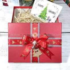 Hộp quà giáng sinh, trang trí noel HQGS1