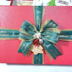 Hộp quà giáng sinh, trang trí cây thông noel HQGS2