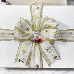 Hộp quà giáng sinh, trang trí cây thông noel HQGS4